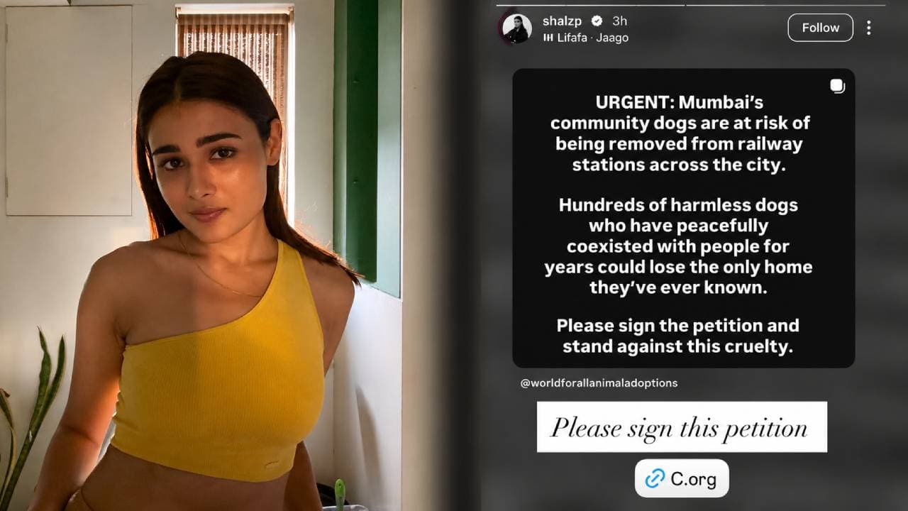 मुंबई के रेलवे स्टेशनों से आवारा कुत्तों को हटाने के खिलाफ बोलीं शालिनी पांडे, लोगों से की साथ आने की अपील